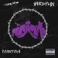 FAIRYTALE - Single - WEEZYLOU