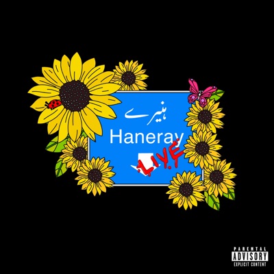 Haneray (feat. Hassam Anwar) [Live] - Single
