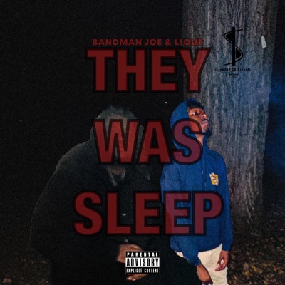 They Was Sleep (feat. Bandman Joe) - Single