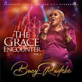 The Grace Encounter, Vol. 2 artwork