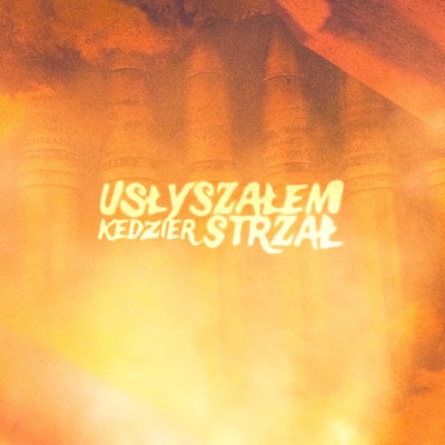 Usłyszałem Strzał - Single
