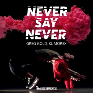 Never Say Never - Single