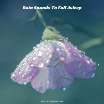 Rain Sounds To Fall Asleep by Derrol, Rain Sounds & Nature Sounds album reviews, ratings, credits