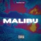 Malibu Pt. 2 - VXNX lyrics