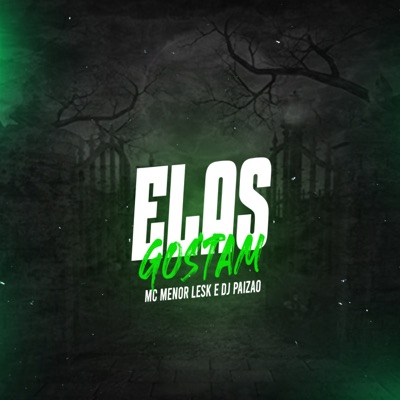 Elas Gostam (feat. Dj Paizao) - Single