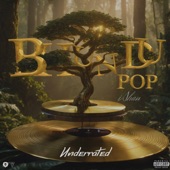 BHUNDUPOP (Underrated) artwork