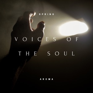 Voices of the Soul - EP