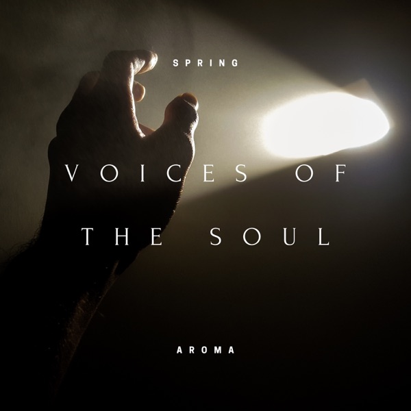 Voices of the Soul - EP