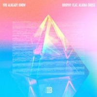 You Already Know (feat. Alaina Cross) - Single - Brophy