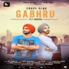 Crazy Mind Gabhru - Single