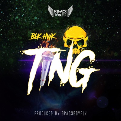 Ting (feat. Blk Hwk) - Single