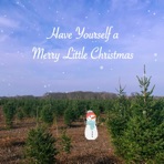 Have Yourself a Merry Little Christmas (Live) [Live] - Single