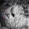 Chances - Moob. lyrics