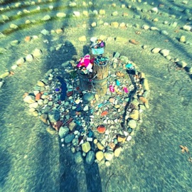 All I Need Dome Lettuce