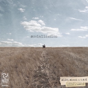Socialization (Remixes) - Single