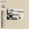 Perception - Single