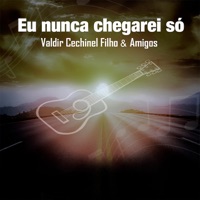 Eu Nunca Chegarei Só: Valdir Cechinel Filho & Amigos - Valdir Cechinel Filho