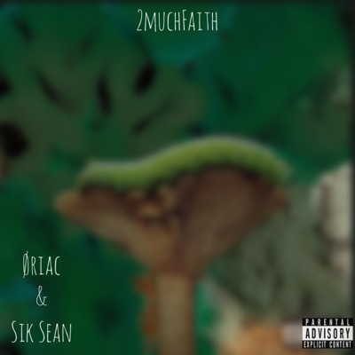 2muchFaith (feat. Sik Sean) - Single