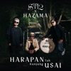 Harapan Tak Kunjung Usai - Single