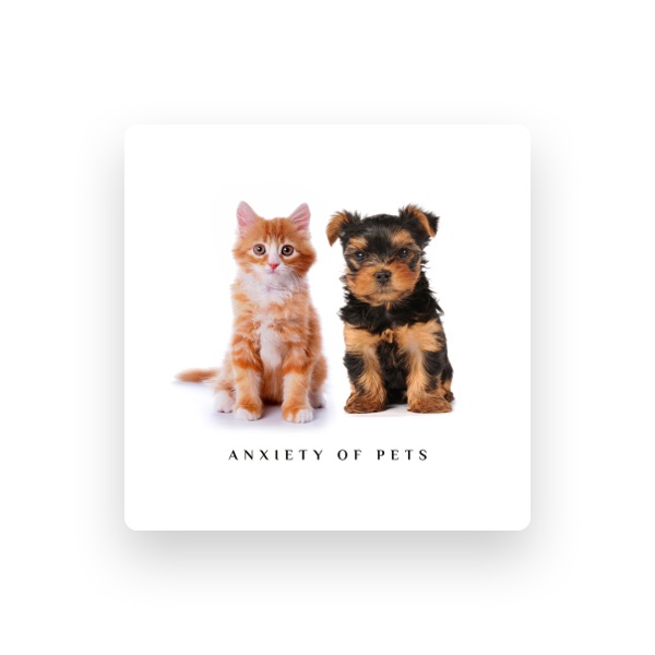 Dog Music Oasis's avatar