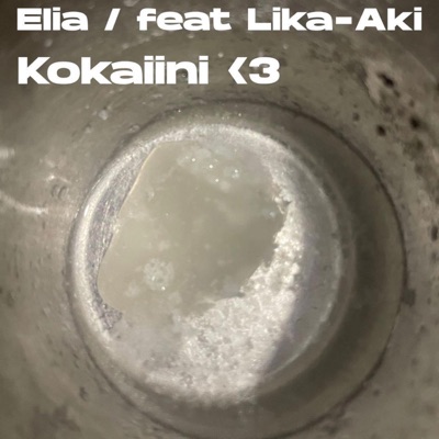 <3Kokaiini (feat. Lika-Aki) - Single