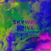 Skyway Drive (Slowed Version) - Single