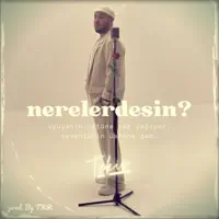 Nerelerdesin — Tekir