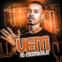 Vem no Esconderijo - Single - DJ IGOR DA CHUMBADA