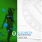 Elizabeth - Alex Schaufel lyrics