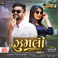 Zumli, Pt. 03 (feat. DJ Safvan & Ashish Chauhan) - Single - Vidur Rathva