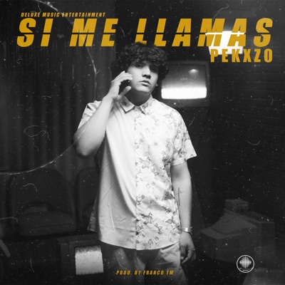 Si Me Llamas - Single