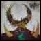 Putrefacted cadaver, Vol. 1 (feat. Deadripper) - ShamTzar lyrics