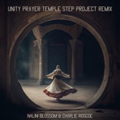 Unity Prayer (Temple Step Project Remix) artwork