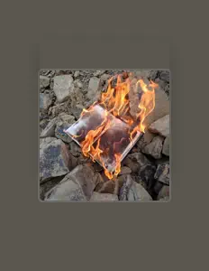 Écoutez Young Punk, regardez des vidéoclips, lisez la biographie, consultez les dates de tournée et plus encore !