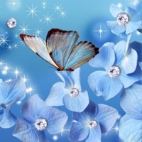 Im so Alone (Lost) - Single - Lil Soda Boi