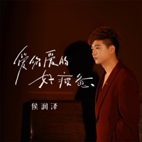 爱你爱的好疲惫 - Single - Zerun Hou