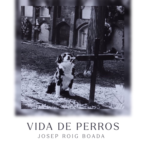 Vida de perros - Single