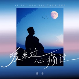 爱来过心痛过 冯十