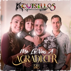 Me Lo Vas A Agradecer - Single