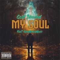 My Soul (feat. BBF RAIN) - Single - Cold Blooded