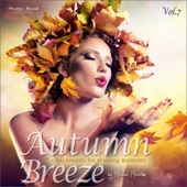 Autumn Breeze, Vol.7 - Chill Sounds for Relaxing Moments artwork