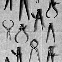 Free - Single - The Axl Group