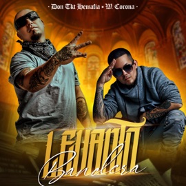 Levanto Bandera Don Tkt Hemafia & W. Corona
