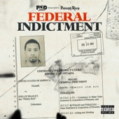 FEDERAL INDICTMENT artwork