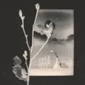 Walls