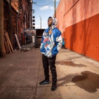 Pull Up - Single - Skip