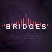 Bridges - Single - Chayala Neuhaus & Moshe Tischler