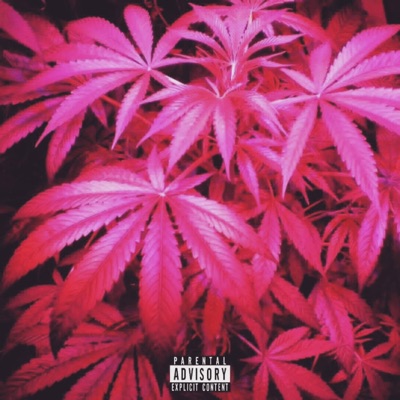 Culture (feat. Troy Mob) - Single