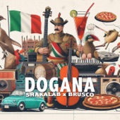 Dogana artwork