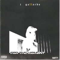 For the Moment - Single - T Gallardo